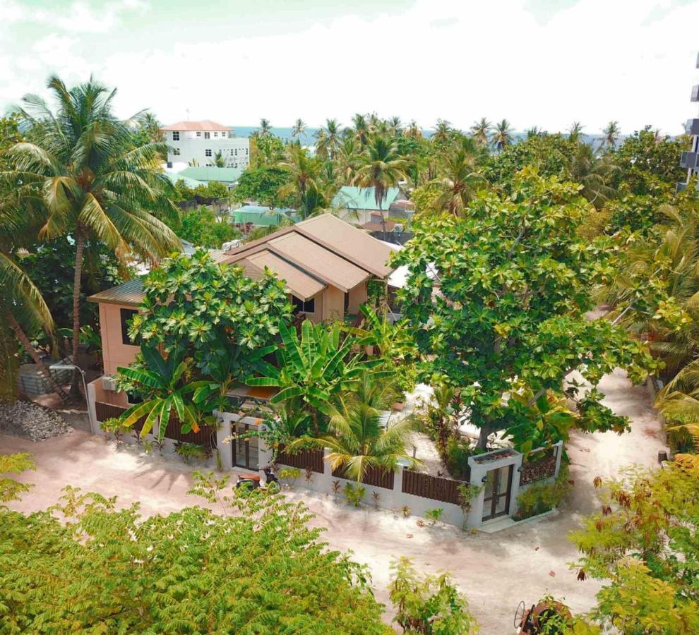 Daisy Cottage Dhangethi Exterior photo