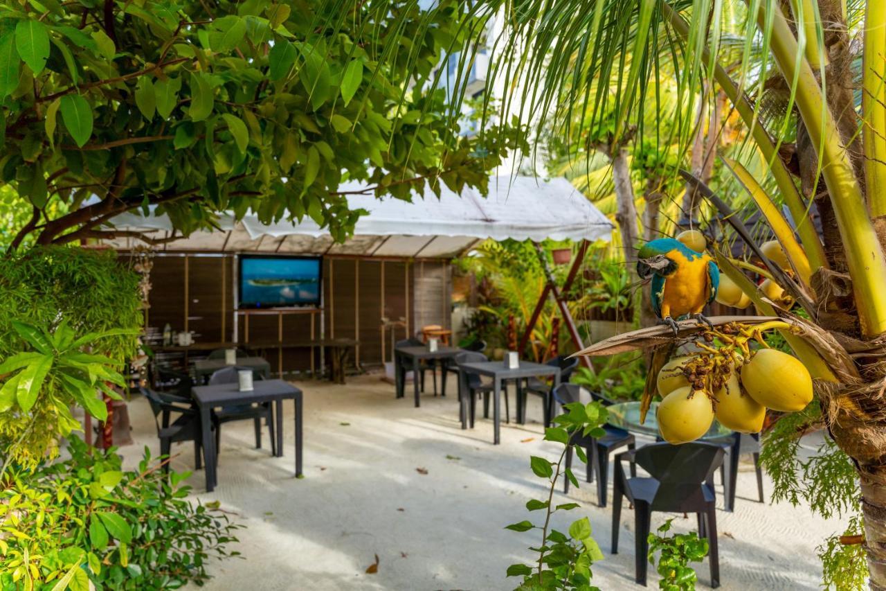 Daisy Cottage Dhangethi Exterior photo